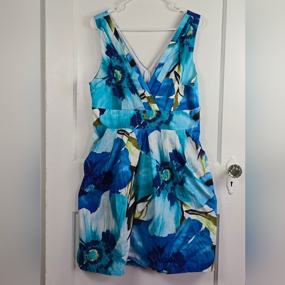 Corey P. Floral Dress with Pockets Size 16